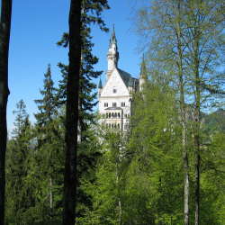 Neuschwanstein  Picture 090.jpg